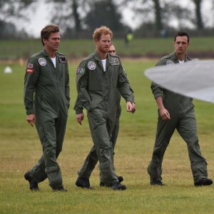 Le prince Harry a assisté le 15 septembre 2015, jour de ses 31 ans, à une parade aérienne commémorant les 75 ans de la Bataille d'Angleterre, à l'aérodrome de Goodwood dans le Sussex. Il devait à l'origine monter à bord d'un Spitfire, mais a renoncé en raison d'un problème mécanique d'un des appareils, préférent laisser la place au vétéran Tom Neil et à des blessés de guerre.