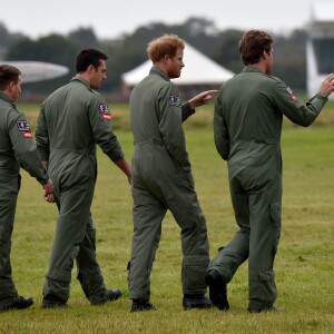 Le prince Harry a assisté le 15 septembre 2015, jour de ses 31 ans, à une parade aérienne commémorant les 75 ans de la Bataille d'Angleterre, à l'aérodrome de Goodwood dans le Sussex. Il devait à l'origine monter à bord d'un Spitfire, mais a renoncé en raison d'un problème mécanique d'un des appareils, préférent laisser la place au vétéran Tom Neil et à des blessés de guerre.