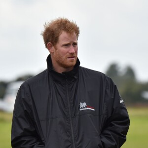 Le prince Harry a assisté le 15 septembre 2015, jour de ses 31 ans, à une parade aérienne commémorant les 75 ans de la Bataille d'Angleterre, à l'aérodrome de Goodwood dans le Sussex. Il devait à l'origine monter à bord d'un Spitfire, mais a renoncé en raison d'un problème mécanique d'un des appareils, préférent laisser la place au vétéran Tom Neil et à des blessés de guerre.