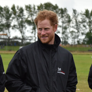 Le prince Harry a assisté le 15 septembre 2015, jour de ses 31 ans, à une parade aérienne commémorant les 75 ans de la Bataille d'Angleterre, à l'aérodrome de Goodwood dans le Sussex. Il devait à l'origine monter à bord d'un Spitfire, mais a renoncé en raison d'un problème mécanique d'un des appareils, préférent laisser la place au vétéran Tom Neil et à des blessés de guerre.