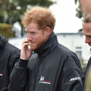 Le prince Harry a assisté le 15 septembre 2015, jour de ses 31 ans, à une parade aérienne commémorant les 75 ans de la Bataille d'Angleterre, à l'aérodrome de Goodwood dans le Sussex. Il devait à l'origine monter à bord d'un Spitfire, mais a renoncé en raison d'un problème mécanique d'un des appareils, préférent laisser la place au vétéran Tom Neil et à des blessés de guerre.