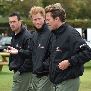 Le prince Harry a assisté le 15 septembre 2015, jour de ses 31 ans, à une parade aérienne commémorant les 75 ans de la Bataille d'Angleterre, à l'aérodrome de Goodwood dans le Sussex. Il devait à l'origine monter à bord d'un Spitfire, mais a renoncé en raison d'un problème mécanique d'un des appareils, préférent laisser la place au vétéran Tom Neil et à des blessés de guerre.