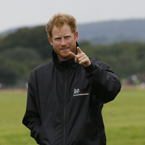 Le prince Harry a assisté le 15 septembre 2015, jour de ses 31 ans, à une parade aérienne commémorant les 75 ans de la Bataille d'Angleterre, à l'aérodrome de Goodwood dans le Sussex. Il devait à l'origine monter à bord d'un Spitfire, mais a renoncé en raison d'un problème mécanique d'un des appareils, préférent laisser la place au vétéran Tom Neil et à des blessés de guerre.