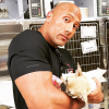 Dwayne Johnson a rajouté une photo de son chien Brutus, qui vient d'être enthanasié sur sa page Instagram.