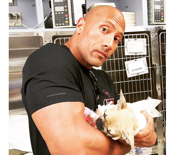 Dwayne Johnson a rajouté une photo de son chien Brutus, qui vient d'être enthanasié sur sa page Instagram.