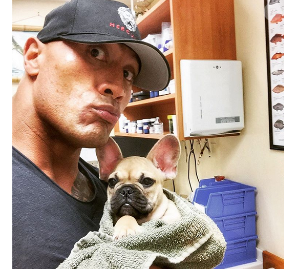 Dwayne Johnson a rajouté une photo avec son chien Brutus chez le véterinaire, sur son compte Instagram.