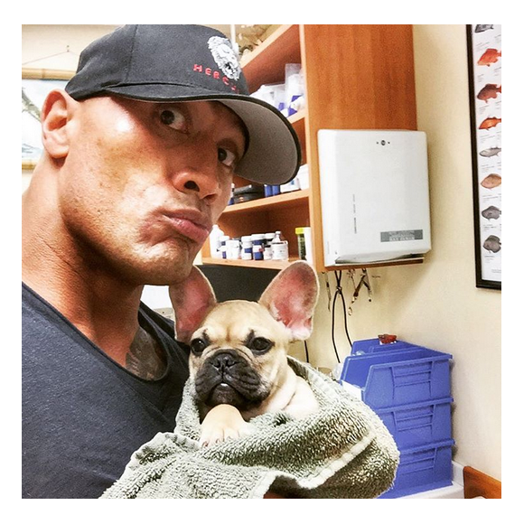 Dwayne Johnson a rajouté une photo avec son chien Brutus chez le véterinaire, sur son compte Instagram.