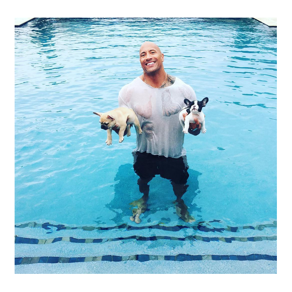 Dwayne Johnson a rajouté une photo avec ses deux chiens Brutus et Hobbs sur son compte Instagram.