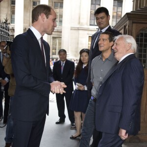 Le prince William saluant Sir David Attenborough devant Yao Ming, son allié au sein de United for Wildlife, et Bear Grylls le 19 octobre 2015 au King's College de Londres. Le duc de Cambridge y a prononcé un discours enregistré pour l'émission chinoise Let's Talk sur CCTV1 à propos du combat contre le commerce illégal des espèces menacées qui provoque la mort de 20 000 éléphants par an et verra, à ce rythme, leur extinction ainsi que celles des rhinocéros d'ici 25 ans.