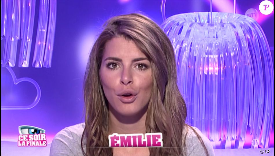 Secret Story 9 La Quotidienne Du 13 Novembre 2015 La Dernière De La Saison Sur Nt1 Ici 9098