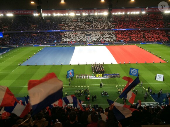 Un drapeau tricolore immense déployé sur la pelouse du Parc des Princes, avant le coup d'envoi du match Paris Saint-Germain (PSG)-Troyes à Paris, le 28 novembre 2015, lors de la minute de silence des joueurs et de spectateurs en hommage aux victimes des attentats du 13 novembre.