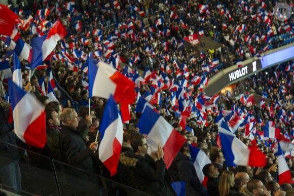 Un drapeau tricolore immense déployé sur la pelouse du Parc des Princes, avant le coup d'envoi du match Paris Saint-Germain (PSG)-Troyes à Paris, le 28 novembre 2015, lors de la minute de silence des joueurs et de spectateurs en hommage aux victimes des attentats du 13 novembre.