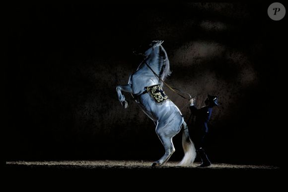 L'Ecole Royale Andalouse d'art équestre sera en représentation à l'AccorHotel Arena de Paris, les 8 et 9 octobre 2016.