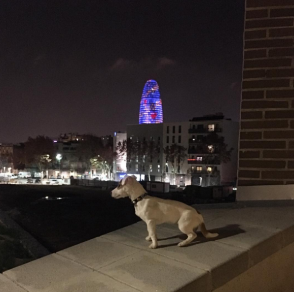 Nabilla et Thomas ont passé le Nouvel An ensemble à Barcelone. Leur chien Pita était bien sûr avec eux ! Décembre 2015.