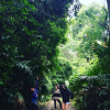 Pauline Ducruet en vacances en Australie, lors d'une excursion dans la jungle. Photo postée sur son compte Instagram en décembre 2015.