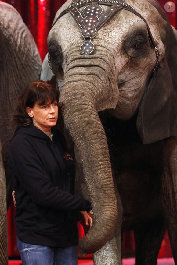La princesse Stéphanie de Monaco, présidente de l'événement, participait le 12 janvier 2016 au lancement du 40e Festival international du cirque de Monte-Carlo, sous le chapiteau de Fontvieille, à l'avant-veille de la cérémonie d'ouverture. © Bruno Bébert / Bestimage