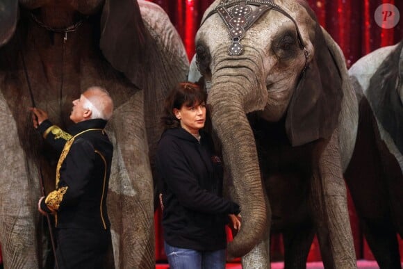 La princesse Stéphanie de Monaco, présidente de l'événement, participait le 12 janvier 2016 au lancement du 40e Festival international du cirque de Monte-Carlo, sous le chapiteau de Fontvieille, à l'avant-veille de la cérémonie d'ouverture. © Bruno Bébert / Bestimage