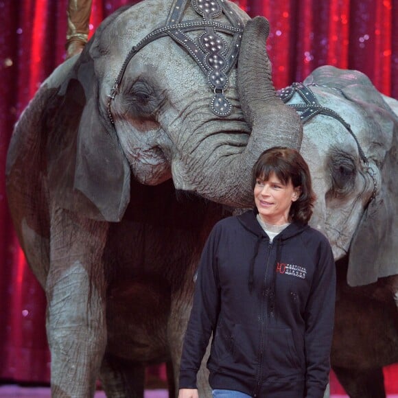 Image de la conférence de presse de lancement du 40e Festival international du cirque de Monte-Carlo, sous la présidence de la princesse Stéphanie de Monaco, le 12 janvier 2016 sous le chapiteau de Fontvieille. © BestImage/Michael Alesi