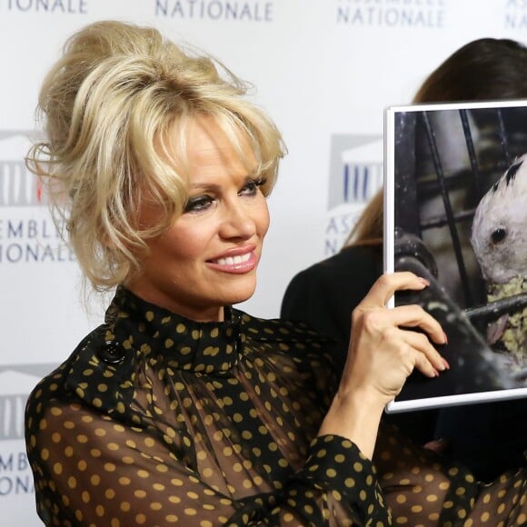 Pamela Anderson - L'actrice américaine Pamela Anderson a tenu une conférence de presse aux côtés de la députée Laurence Abeille, le fondateur de l'ONG Sea Shepherd Paul Watson, l'ancienne Miss France Delphine Wespiser et le porte-parole de la Fondation Brigitte Bardot, Christophe Marie à l'Assemblée Nationale à Paris, le 19 janvier 2016. L'actrice américaine est venue soutenir la présentation d'une proposition de loi écologiste sur le gavage d'animaux pour la production de foie gras. © Dominique Jacovides/Bestimage