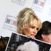Pamela Anderson fait débat à l'Assemblée : La star face au sexisme des députés