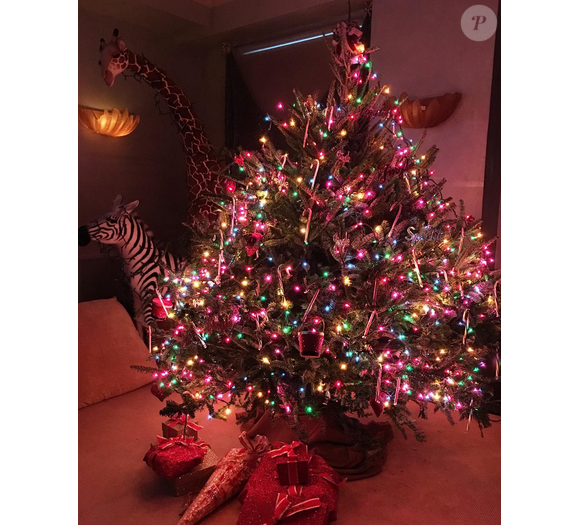 Mariah Carey a décidé de fêter Noël une deuxième fois, tandis qu'une tempête de neige s'abat sur la ville. Photo publiée le 23 janvier 2016 sur sa page Instagram.