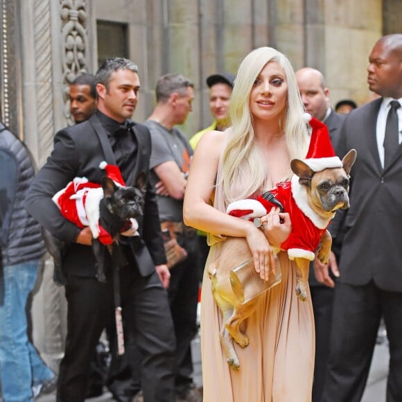 Lady Gaga et son compagnon Taylor Kinney arrivent avec leurs chiens, Miss Asia and Koji déguisés en père Noël à New York le 11 décembre 2015. © CPA/Bestimage