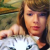 Taylor Swift caresse son chat Meredith Grey. Photo extraite d'une vidéo publiée sur Instagram au mois de janvier 2016.