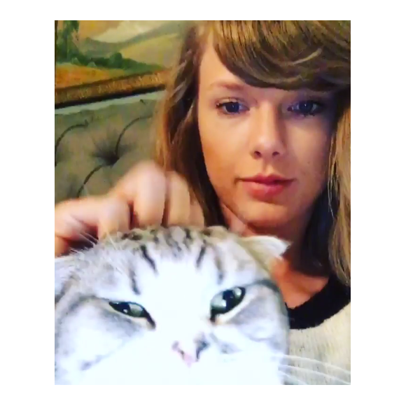 Taylor Swift caresse son chat Meredith Grey. Photo extraite d'une vidéo publiée sur Instagram au mois de janvier 2016.