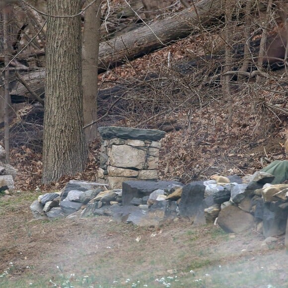 Miley Cyrus tourne avec Woody Allen pour une série diffusée par Amazon, dans le comté de Westchester près de New York le 10 mars 2016.