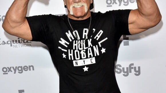 Hulk Hogan, l'affaire de la sextape : Le catcheur empoche une somme folle !