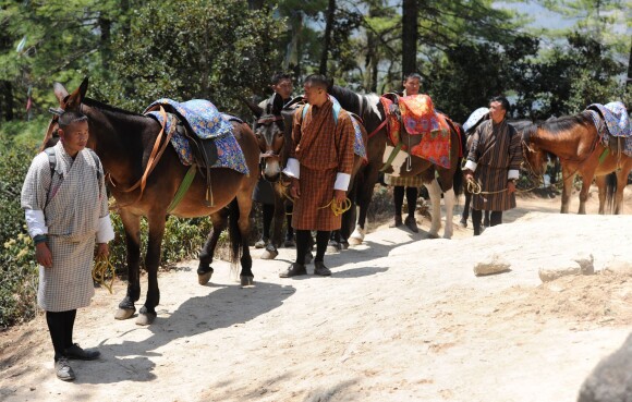Le roi Jigme Khesar avait mis à la disposition de Kate Middleton et du prince William des chevaux, qu'ils n'ont pas utilisés, pour leur trek de près de trois heures le 15 avril 2016 au Bhoutan pour atteindre le monastère bouddhiste Taktshang, dit "la tanière du tigre", berceau du bouddhisme au Bhoutan surplombant la vallée de Paro, à l'avant-dernier jour de leur tournée royale en Inde et au Bhoutan.