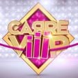 Carré ViiiP est diffusé tous les soirs de la semaine à 18h15 sur TF1 (17h55 le dimanche).