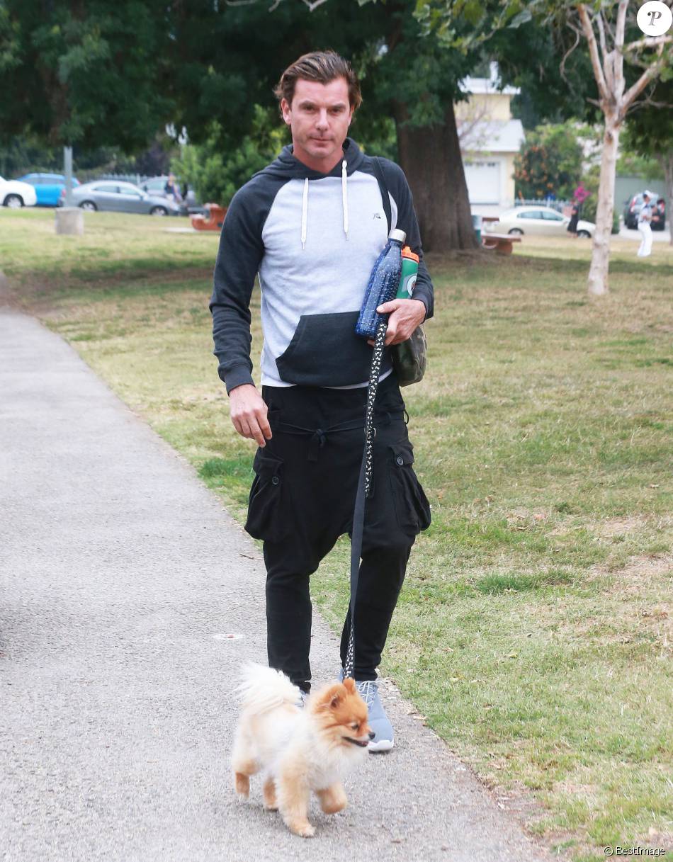 Gavin Rossdale Son Petit Chien En Laisse Emmène Ses Fils