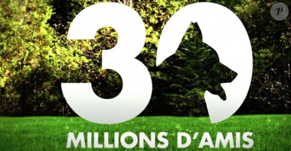 30 millions d'amis : fin de l'émission, mercredi 1er juin, sur France 3