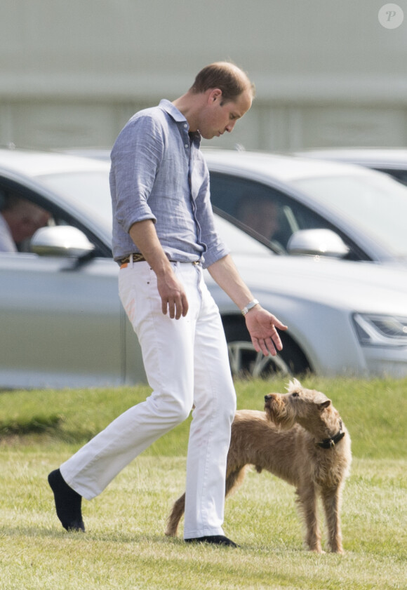 Le prince William lors de l'Audi Polo Challenge à Ascot le 28 mai 2016, qu'il disputait avec son frère le prince Harry au profit des associations Tusk Trust et Sentebale qu'ils soutiennent.
