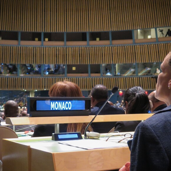 Exclusif - La princesse Stéphanie de Monaco, ambassadrice d'ONUSIDA depuis 2006, a participé le 8 juin 2016 à New York, au siège des Nations unies, à une réunion sur le thème de l'éradication du VIH/SIDA à l'horizon 2030. © F.Nebinger-N.Saussier / Palais Princier / Pool restreint Monaco / Bestimage - Crystal - Visual