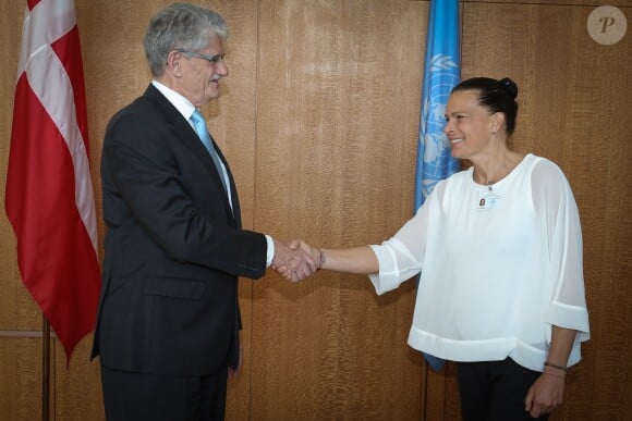 Exclusif - La princesse Stéphanie de Monaco, ambassadrice d'ONUSIDA depuis 2006, a participé le 8 juin 2016 à New York, au siège des Nations unies, à une réunion sur le thème de l'éradication du VIH/SIDA à l'horizon 2030. © F.Nebinger-N.Saussier / Palais Princier / Pool restreint Monaco / Bestimage - Crystal - Visual