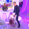 Enora Malagré dévoile un sexy booty shake, Isabelle Morini-Bosc sa culotte - Emission "Touche pas à mon poste" sur D8. Le 22 juin 2016.