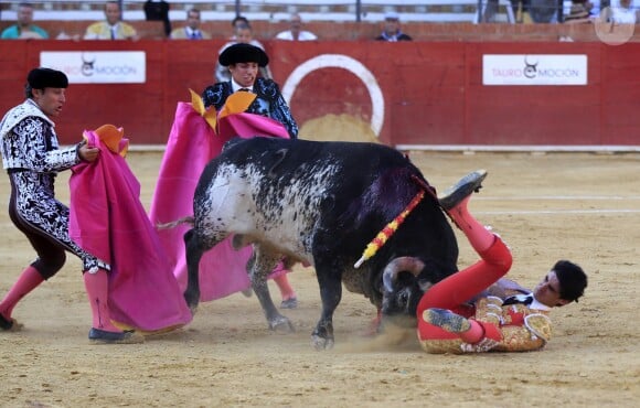 Le torero Victor Barrio encorné par un taureau à Aragon, le 9 juillet 2016.