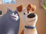 Des Bêtes irrésistibles pour exploser le box-office