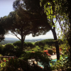 Laura Smet se réveille à Saint-Tropez et poste cette superbe photo sur Instagram, fin juin-début 2016.