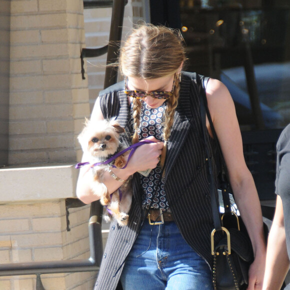 Exclusif - Amber Heard avec son petit chien dans les bras et accompagnée d'un garde du corps, sort de la boutique "Barneys New York" à Beverly Hills. Los Angeles, le 12 juillet 2016.