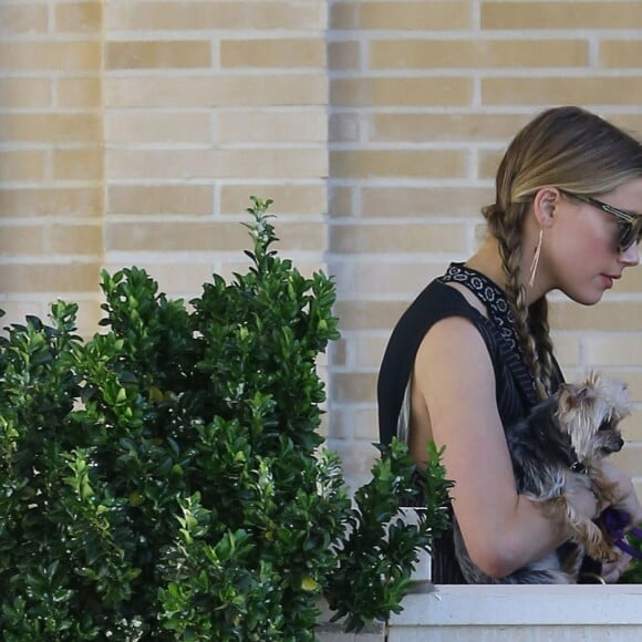 Exclusif - Amber Heard avec son petit chien dans les bras et accompagnée d'un garde du corps, sort de la boutique "Barneys New York" à Beverly Hills. Los Angeles, le 12 juillet 2016.