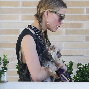 Exclusif - Amber Heard avec son petit chien dans les bras et accompagnée d'un garde du corps, sort de la boutique "Barneys New York" à Beverly Hills. Los Angeles, le 12 juillet 2016.