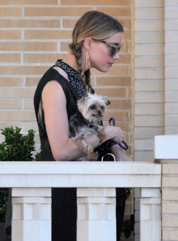 Exclusif - Amber Heard, le dos voûté avec son petit chien dans les bras et accompagnée d'un garde du corps, sort de la boutique "Barneys New York" à Beverly Hills. Los Angeles, le 12 juillet 2016.