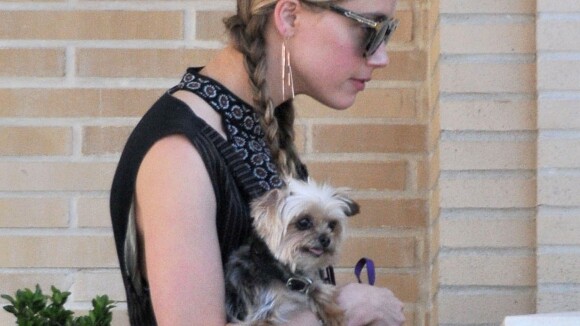 Amber Heard : Shopping et réconfort avec son petit chien