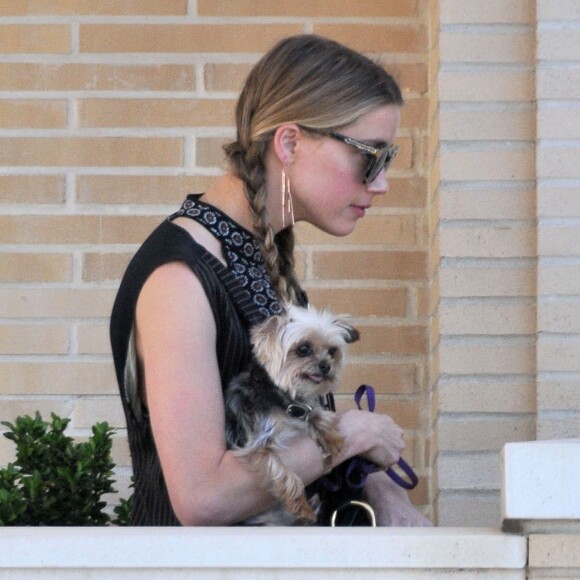 Exclusif - Amber Heard, le dos voûté avec son petit chien dans les bras et accompagnée d'un garde du corps, sort de la boutique "Barneys New York" à Beverly Hills. Los Angeles, le 12 juillet 2016.