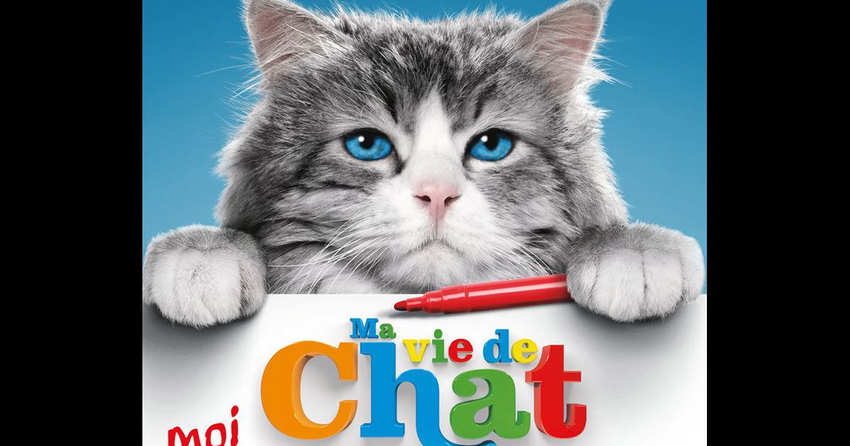 Affiche de Ma vie de chat. - Purepeople