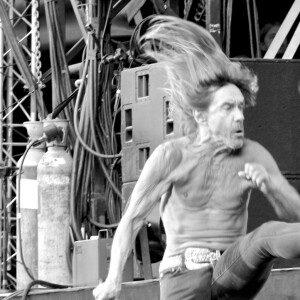 Jour 3 - Iggy Pop fait le show - Festival Rock en Seine au Domaine Nationale de Saint-Cloud à Paris, le 28 août 2016. © Lise Tuillier/Bestimage