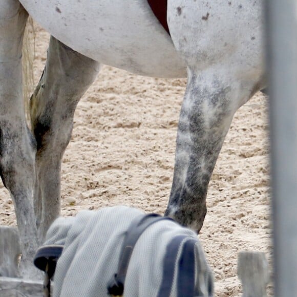 EXCLUSIF - Olivier Sarkozy encourage sa femme Mary-Kate Olsen lors du jumping "Hampton Classic Horse Show " à Bridgehampton près de New York le 1er septembre 2016.